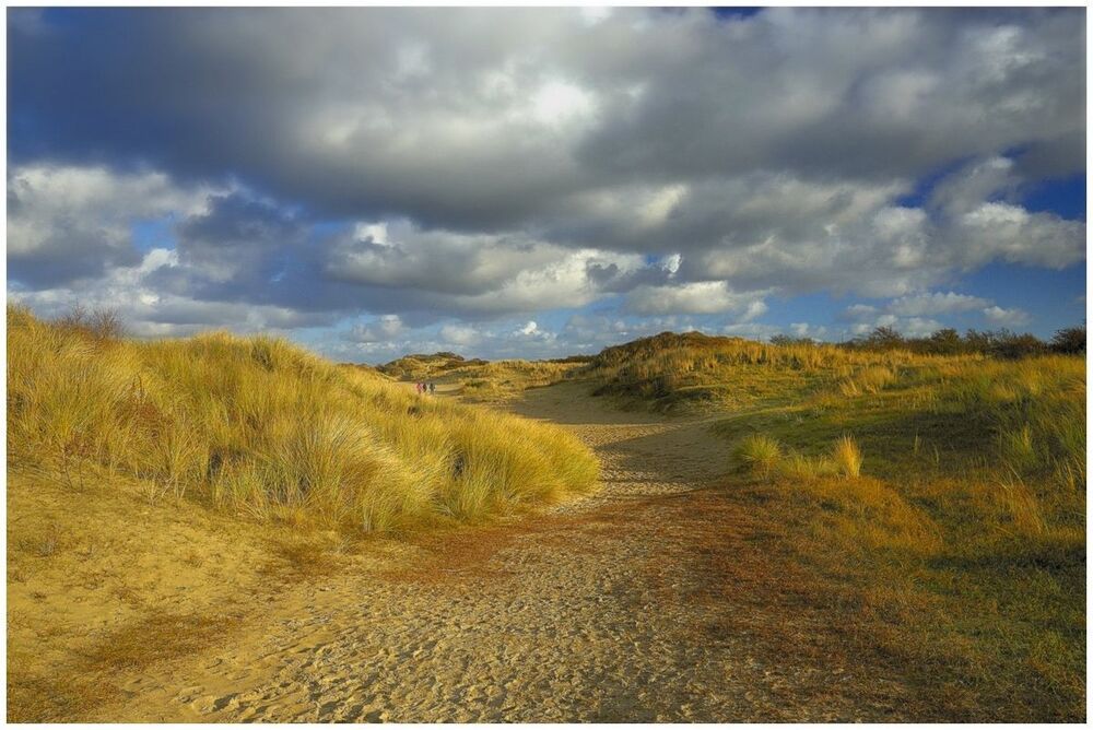 The Belgian dunes.