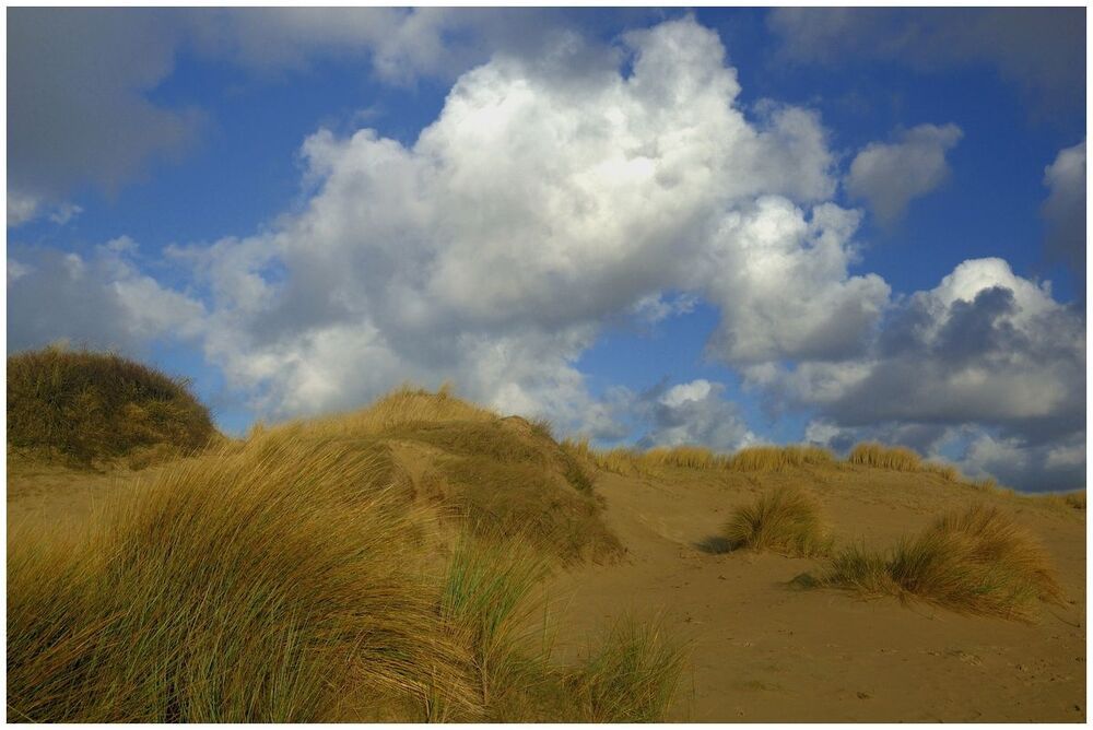 The Belgian dunes.