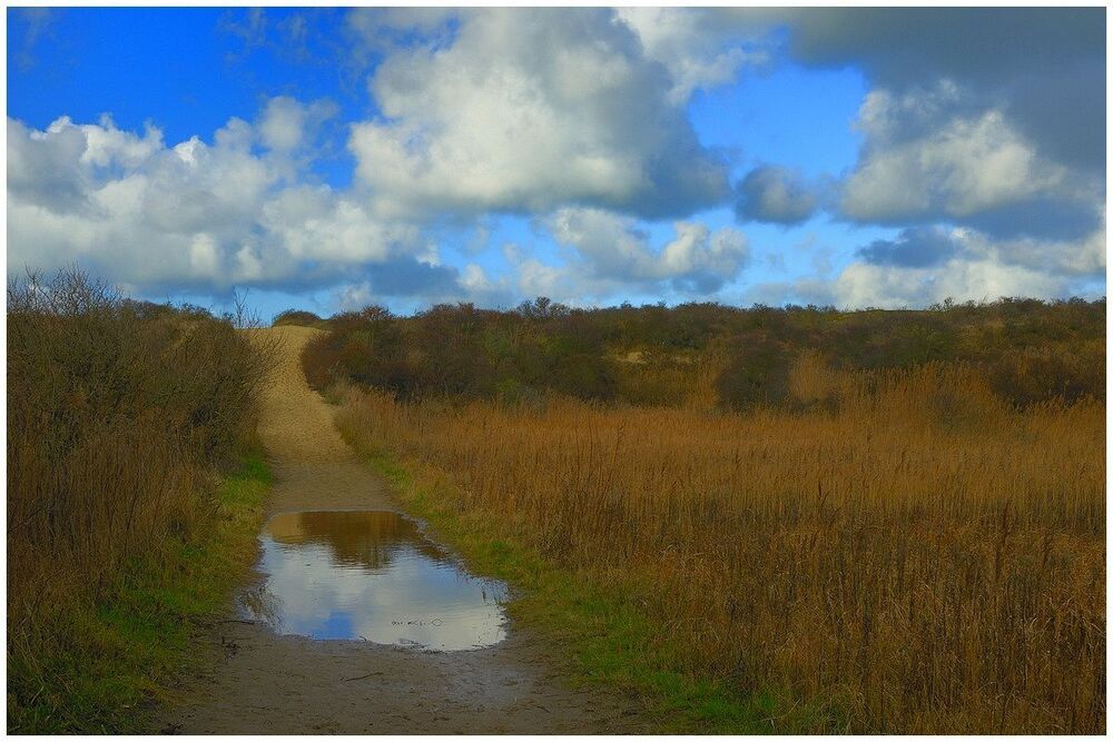 The Belgian dunes.
