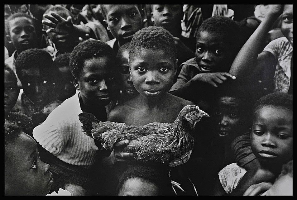 Ghana, boy with chicken.