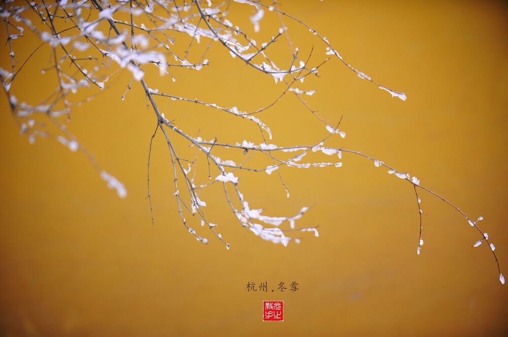 snow