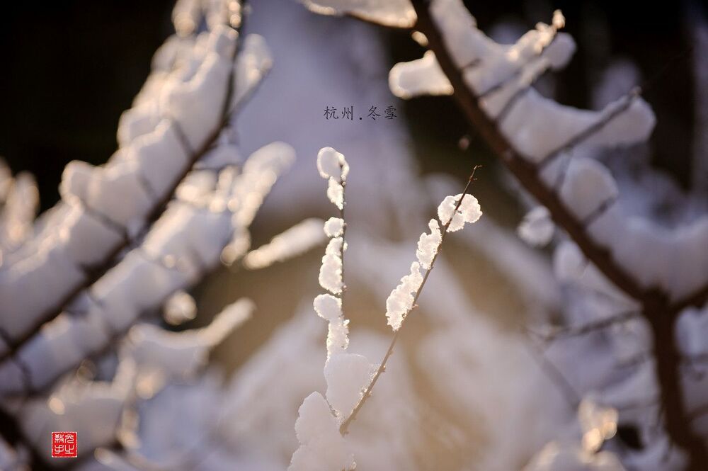 snow