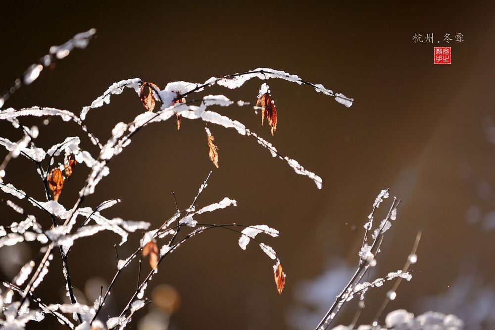 snow