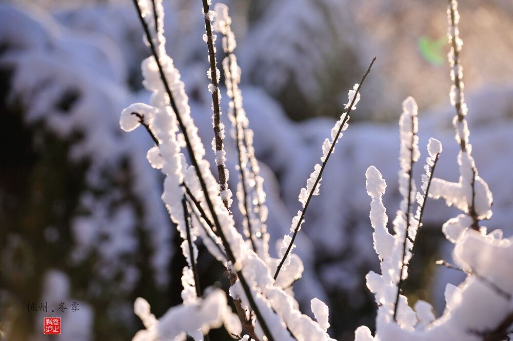 snow