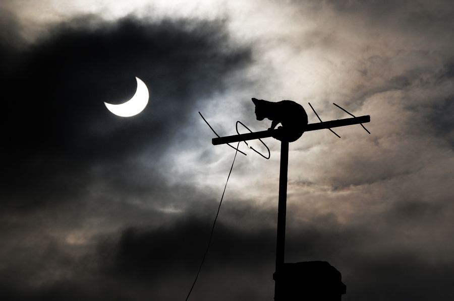 There is nothing new under the sun. 
(Inspiration during the solar eclipse - 04.01.2011)