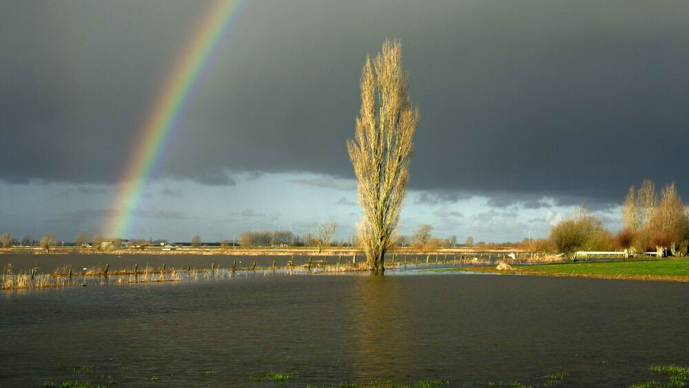 A rainbow on new year.