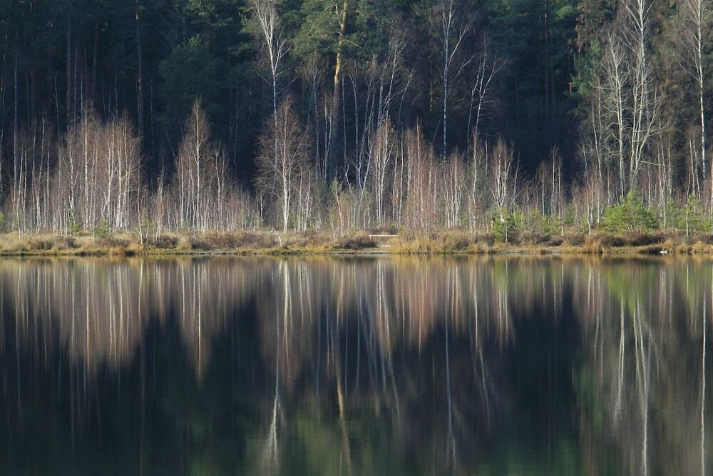 осенняя кардиограмма