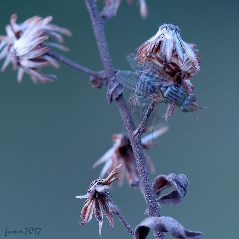 25 секунд(См. EXIF)