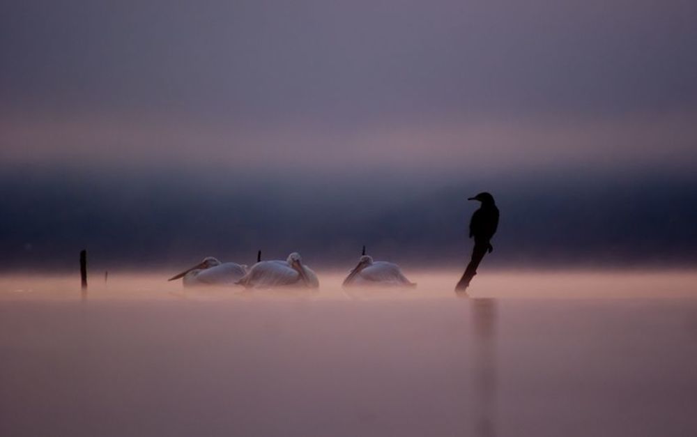 Kerkini Lake