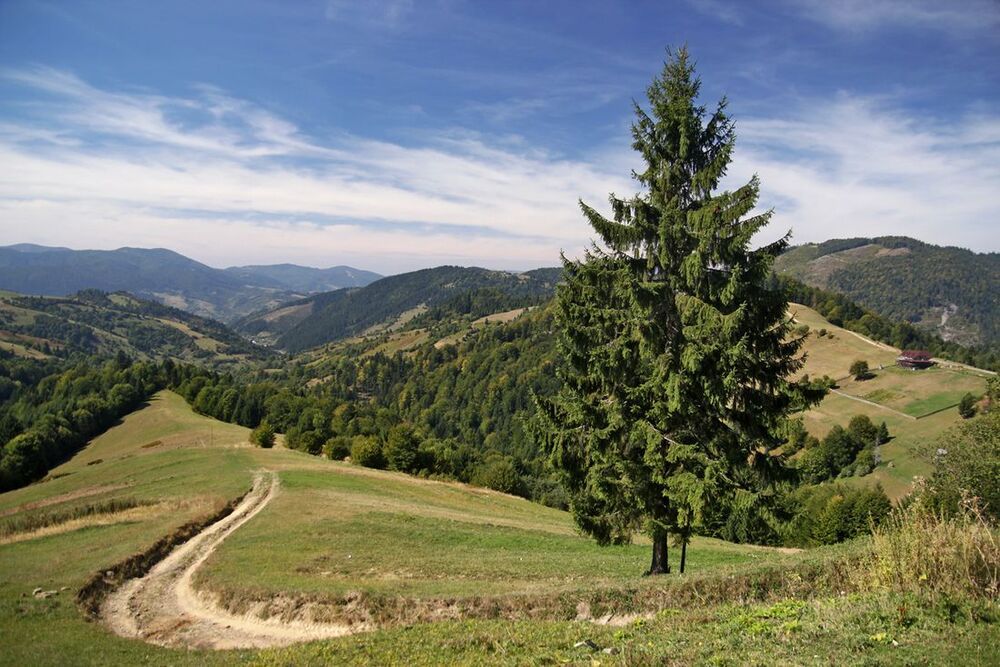 Украинские Карпаты.