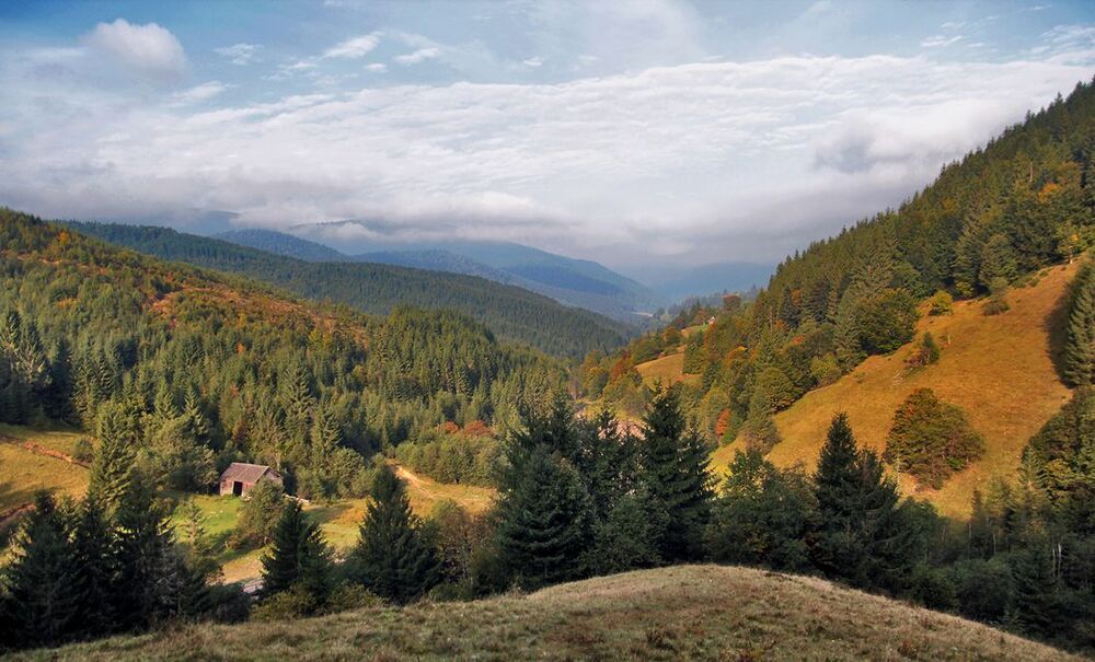 Украинские Карпаты.