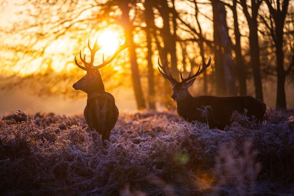 AK photography