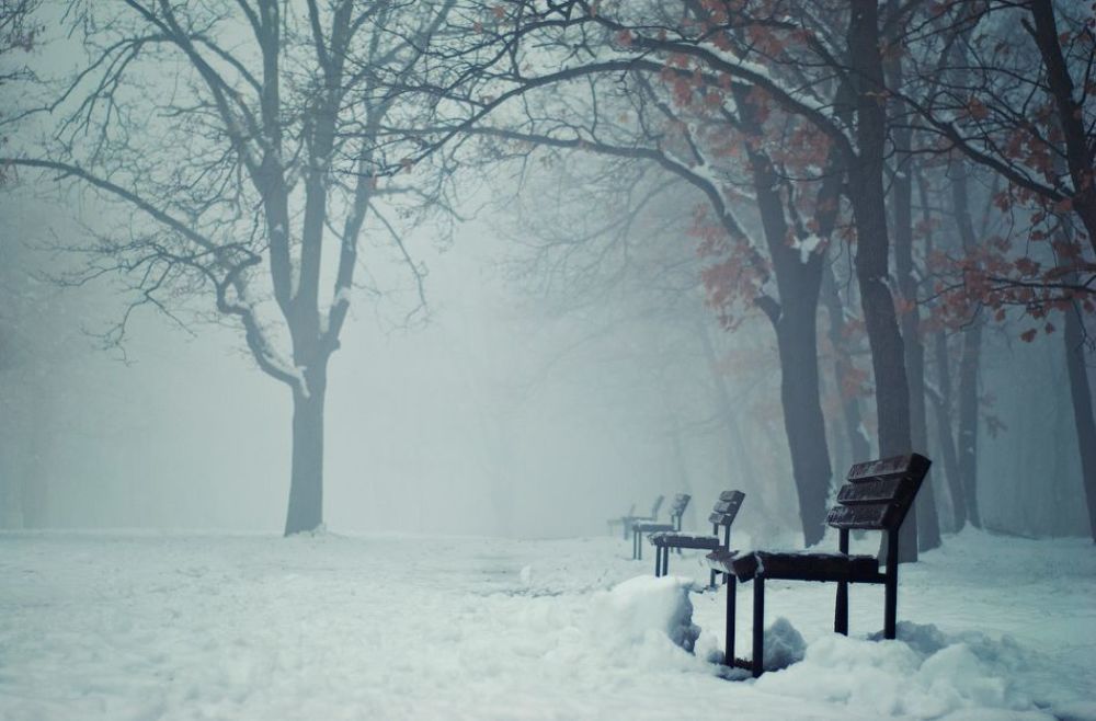 Foggy