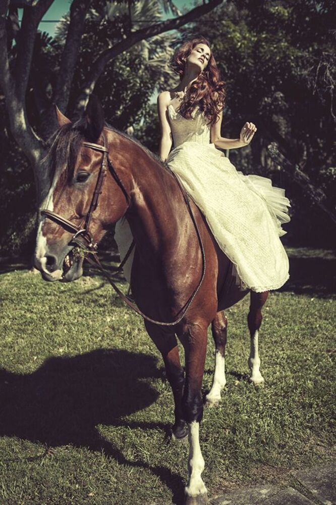 Dazzling Dama