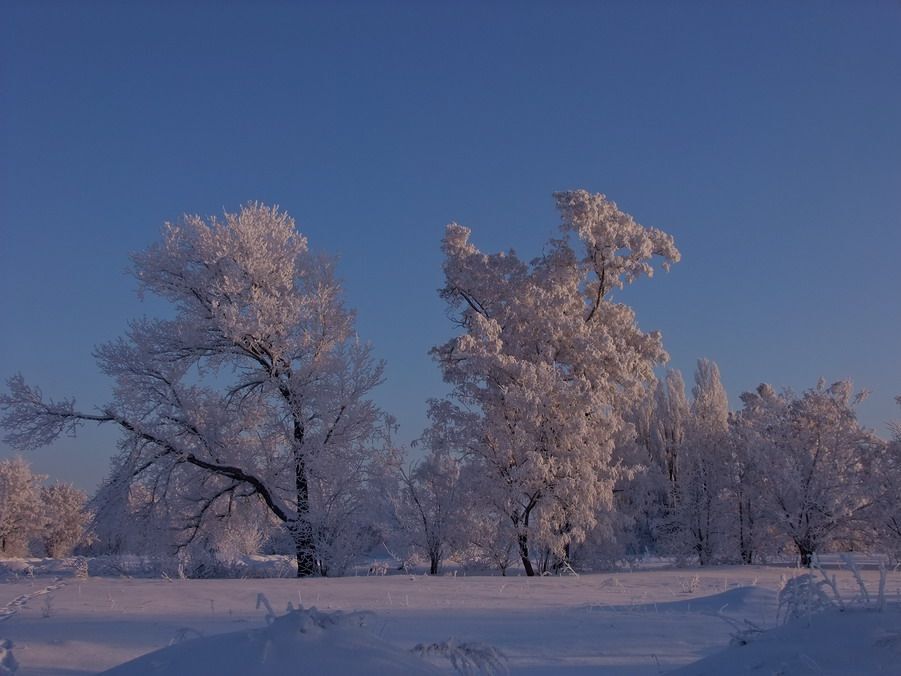 Зима!.. Крестьянин, торжествуя,   На дровнях обновляет путь