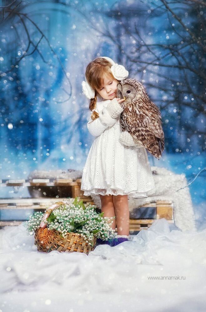 Зимний лес