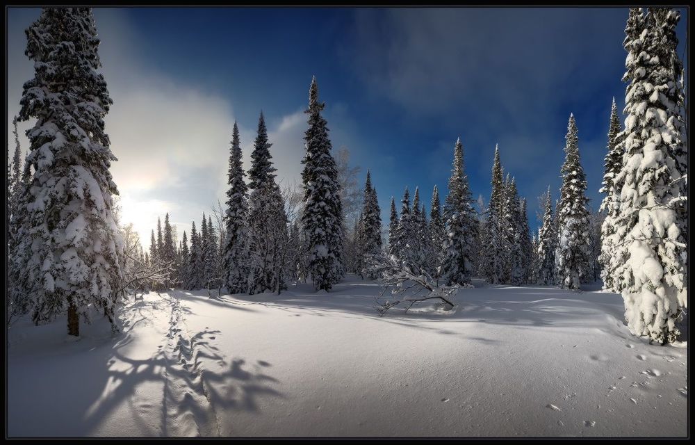 Зарисовка 1