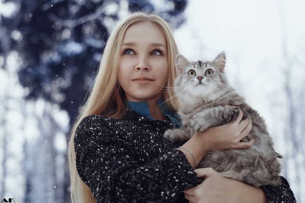 Cat's winter