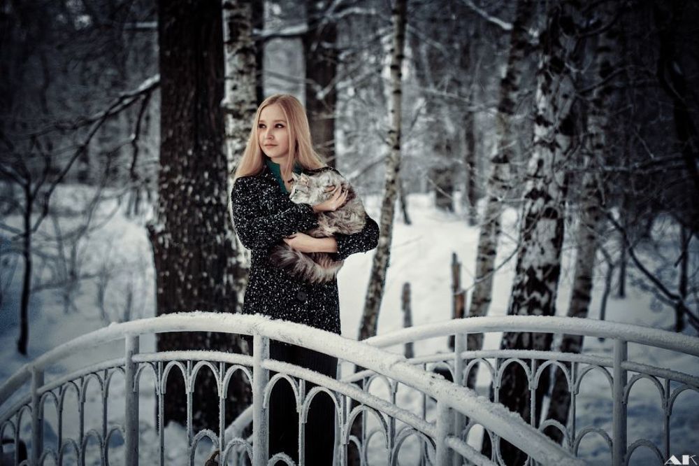 Cat's winter