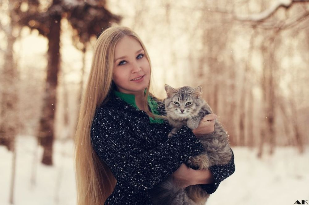 Cat's winter