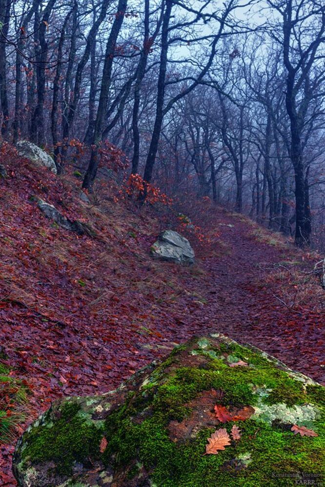 Туманная Медведь-Гора.