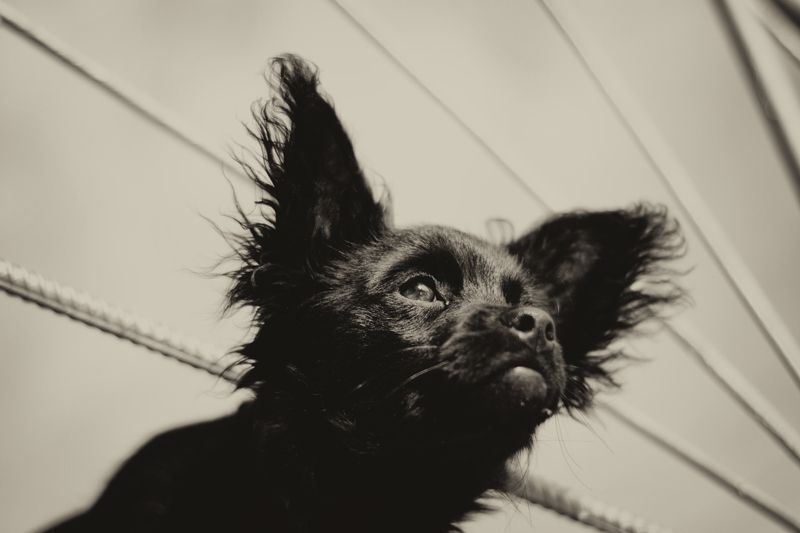 Photo 349528
