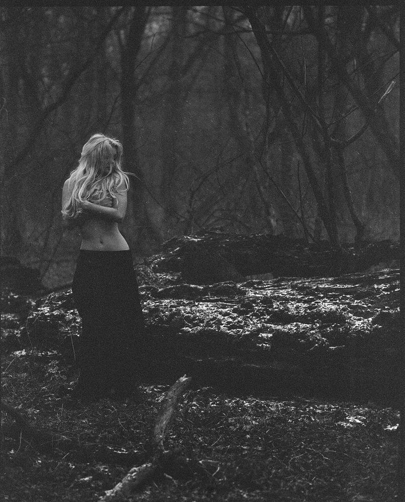 ilford DELTA 3200