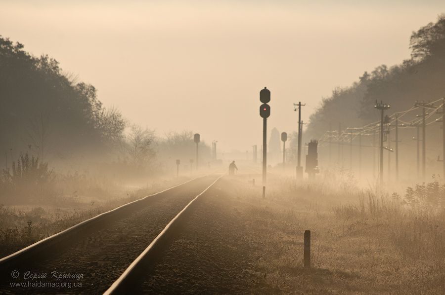 Late Fall Morning