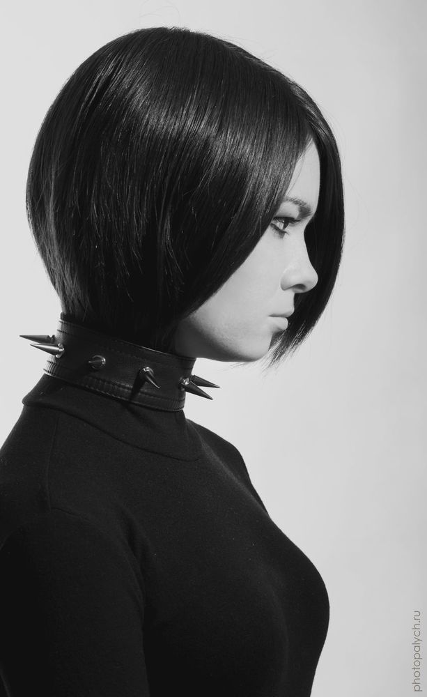 Photo 353658