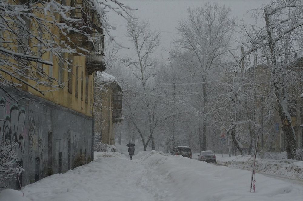 заметенные