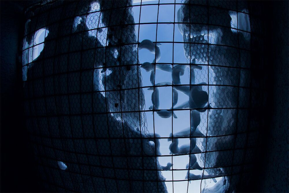 Тобольск, Тюремный замок, взгляд через "Fisheye"