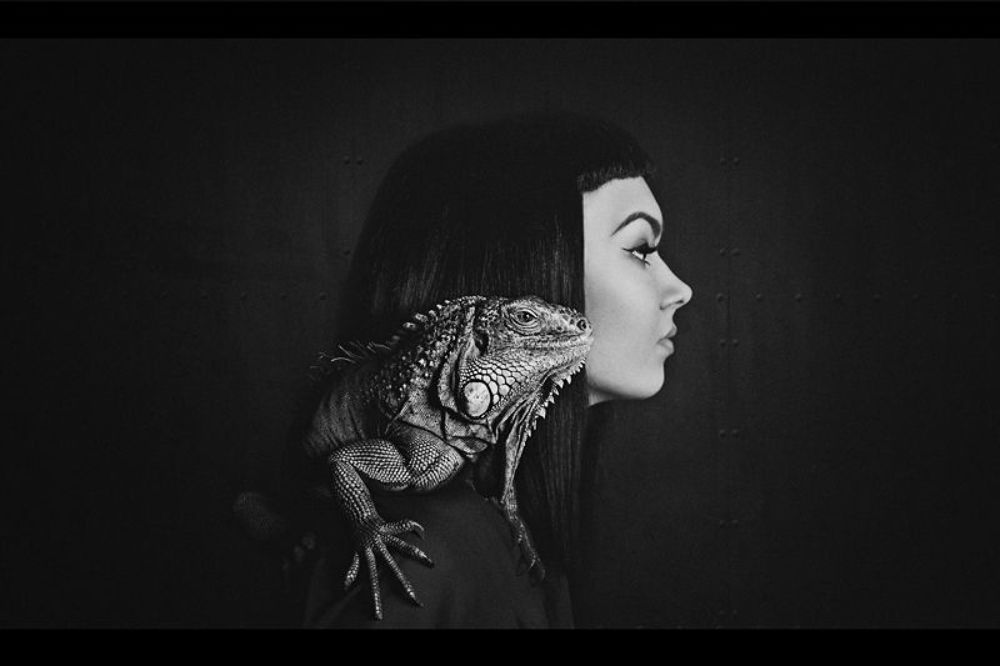 *iguana+Dasha
