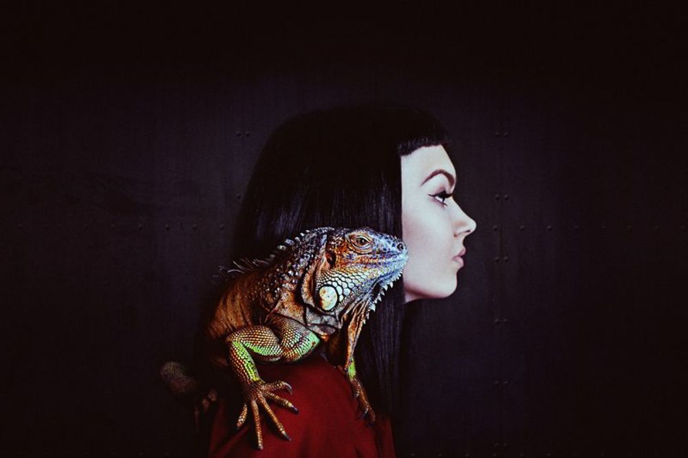 *iguana+Dasha