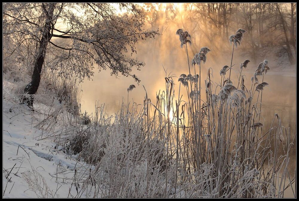 Зима. -28&deg;С. р.Уды, Харьковская область.