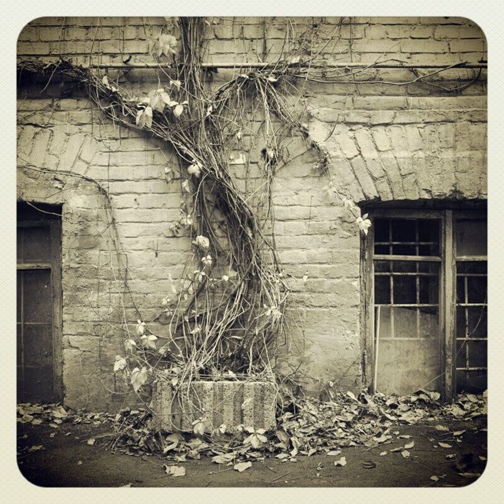 -Instagram-