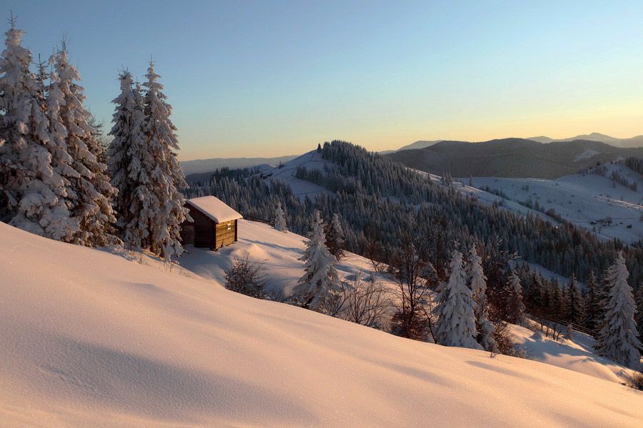 -20C