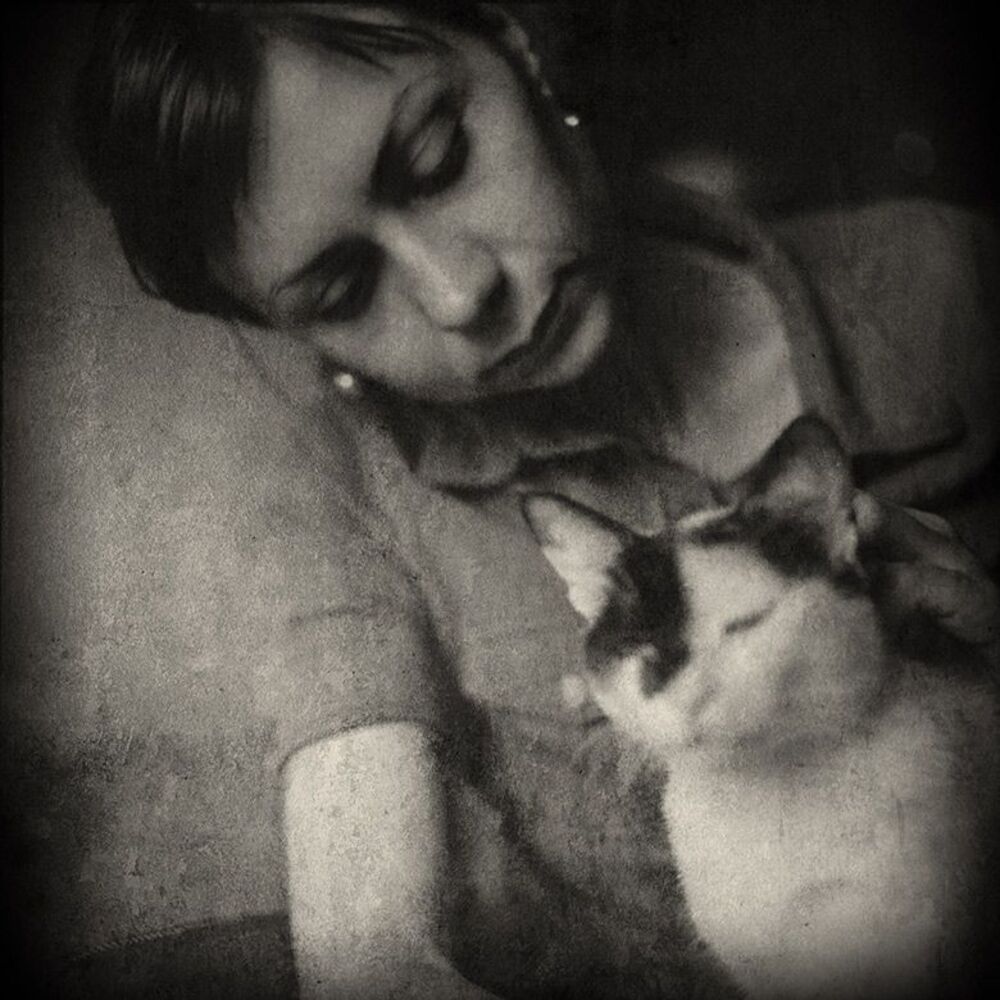 Photo 36372