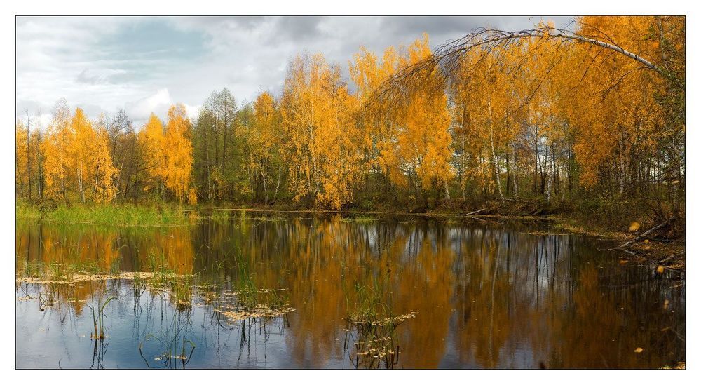 ВСПОМИНАЯ ОСЕНЬ.