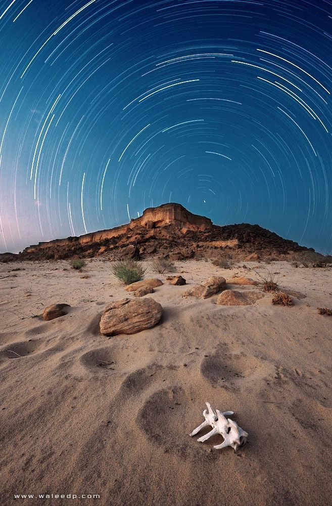 Stars ..!
