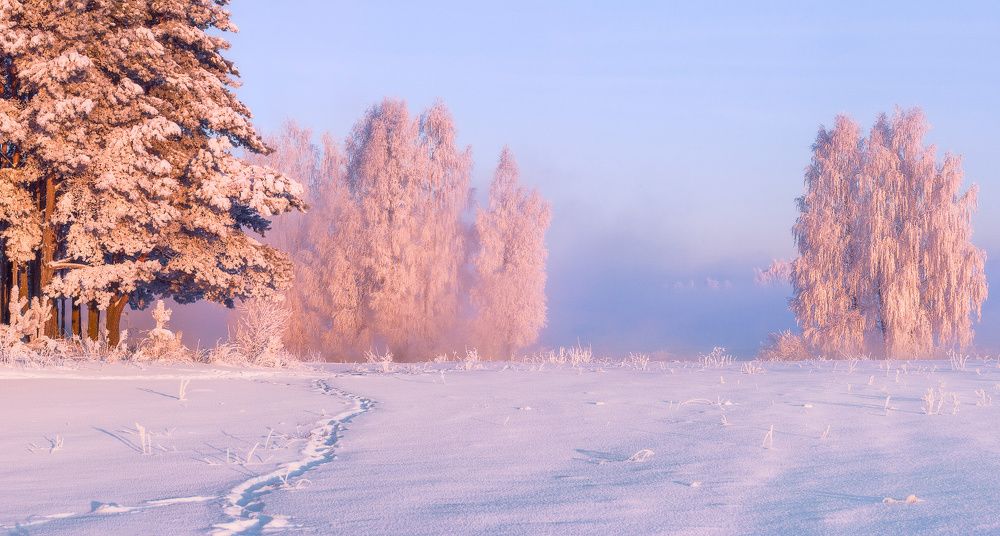 В лучах рассветного солнца