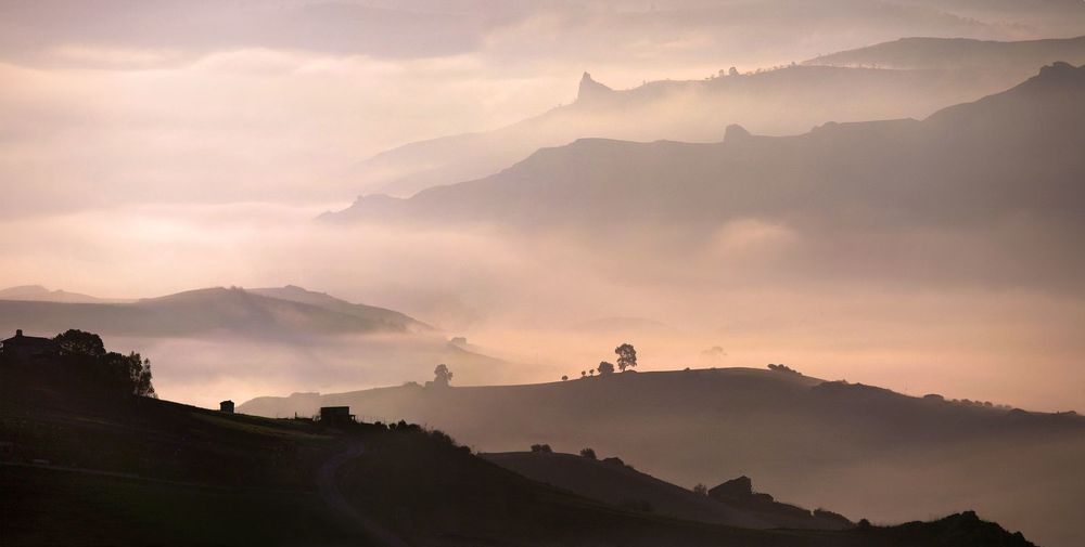 terra nostra
