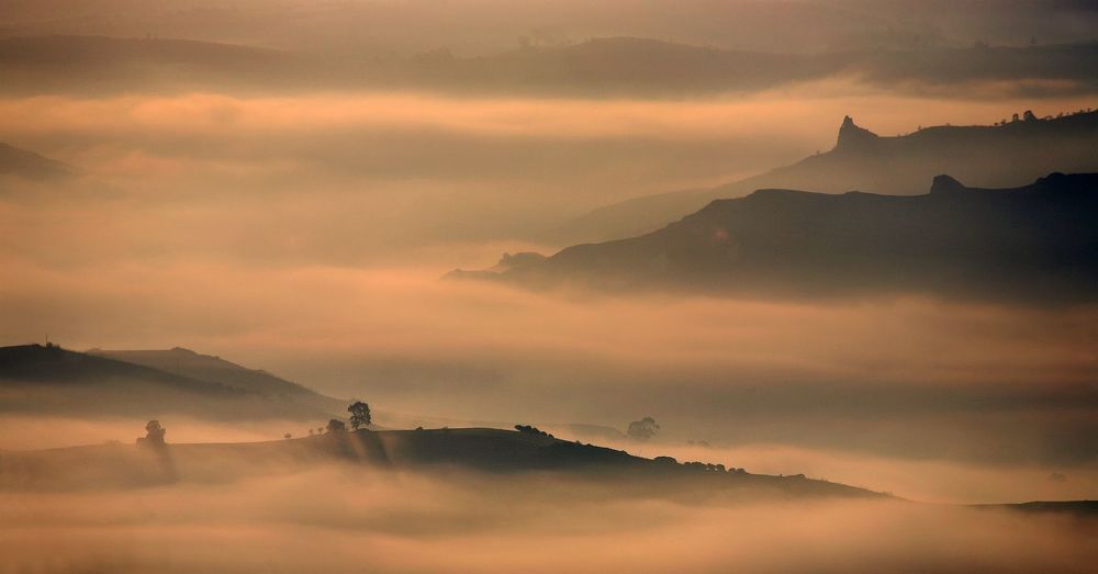 terra nostra