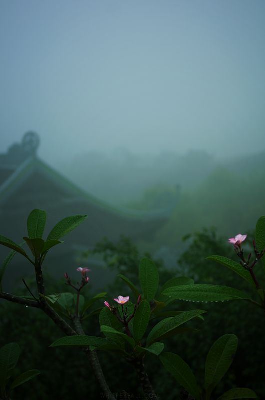 Trang An