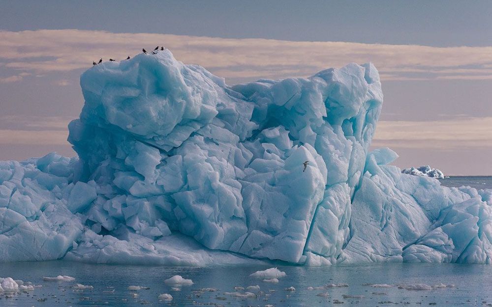 Ледовая шапка Austfonna на острове Nordaustlandet (Северо-Восточная Земля). Архипелаг Svalbard (Шпицберген), Норвегия.