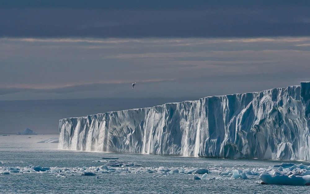 Ледовая шапка Austfonna на острове Nordaustlandet (Северо-Восточная Земля). Архипелаг Svalbard (Шпицберген), Норвегия.