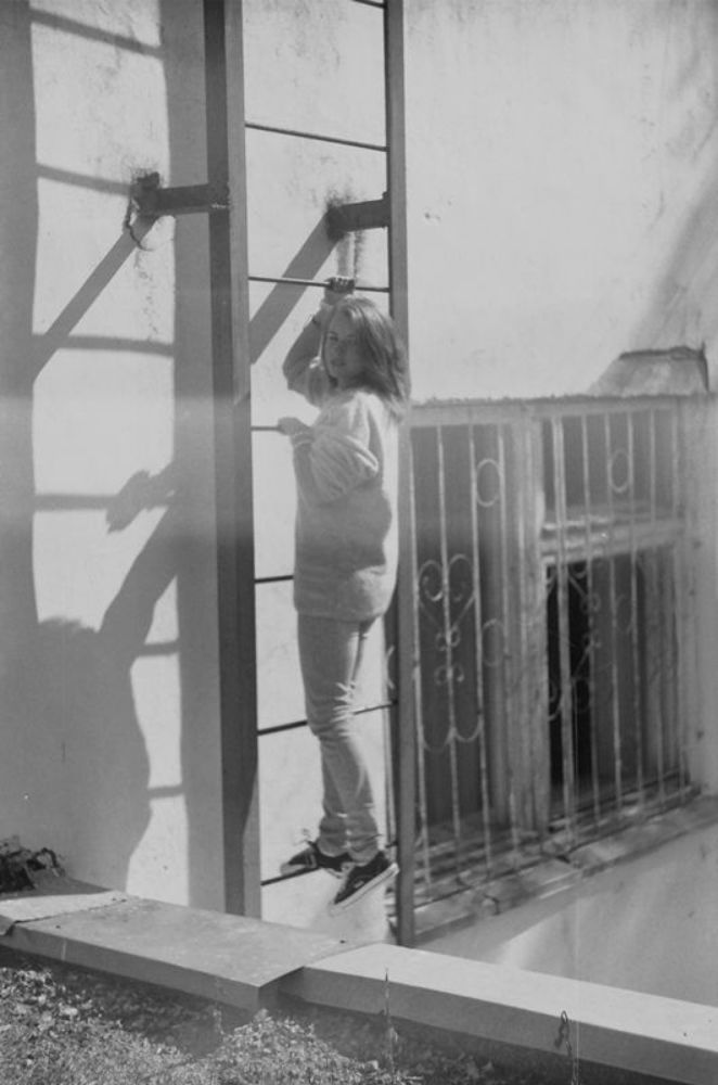 ladder