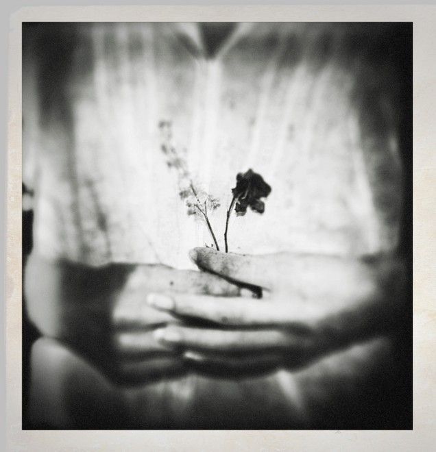 Photo 366313