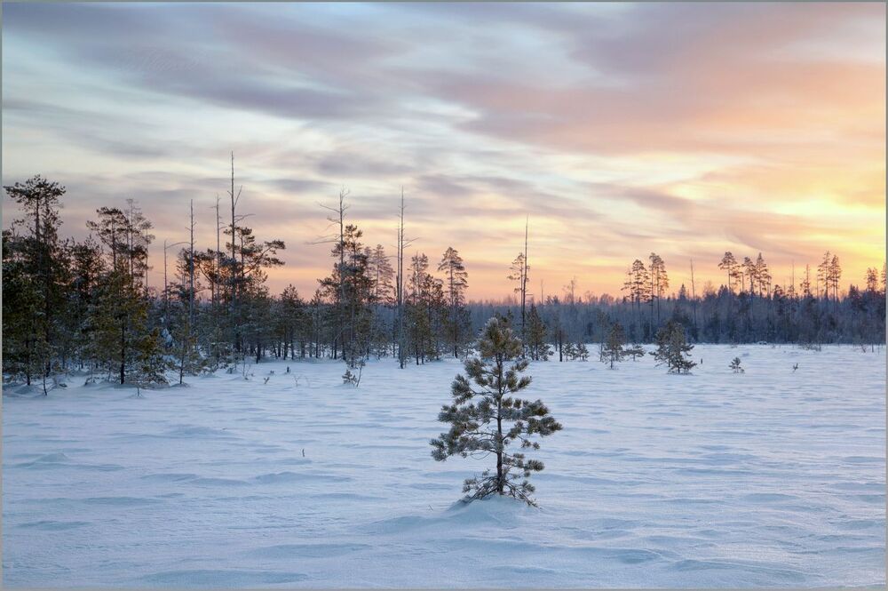 Рассвело