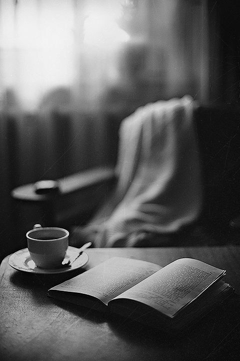 Photo 366897