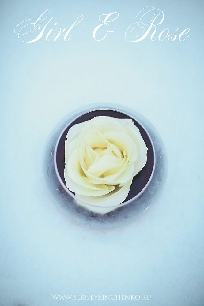 Girl & Rose